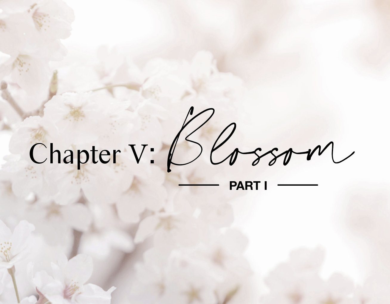 The Blossom 1 Collection
